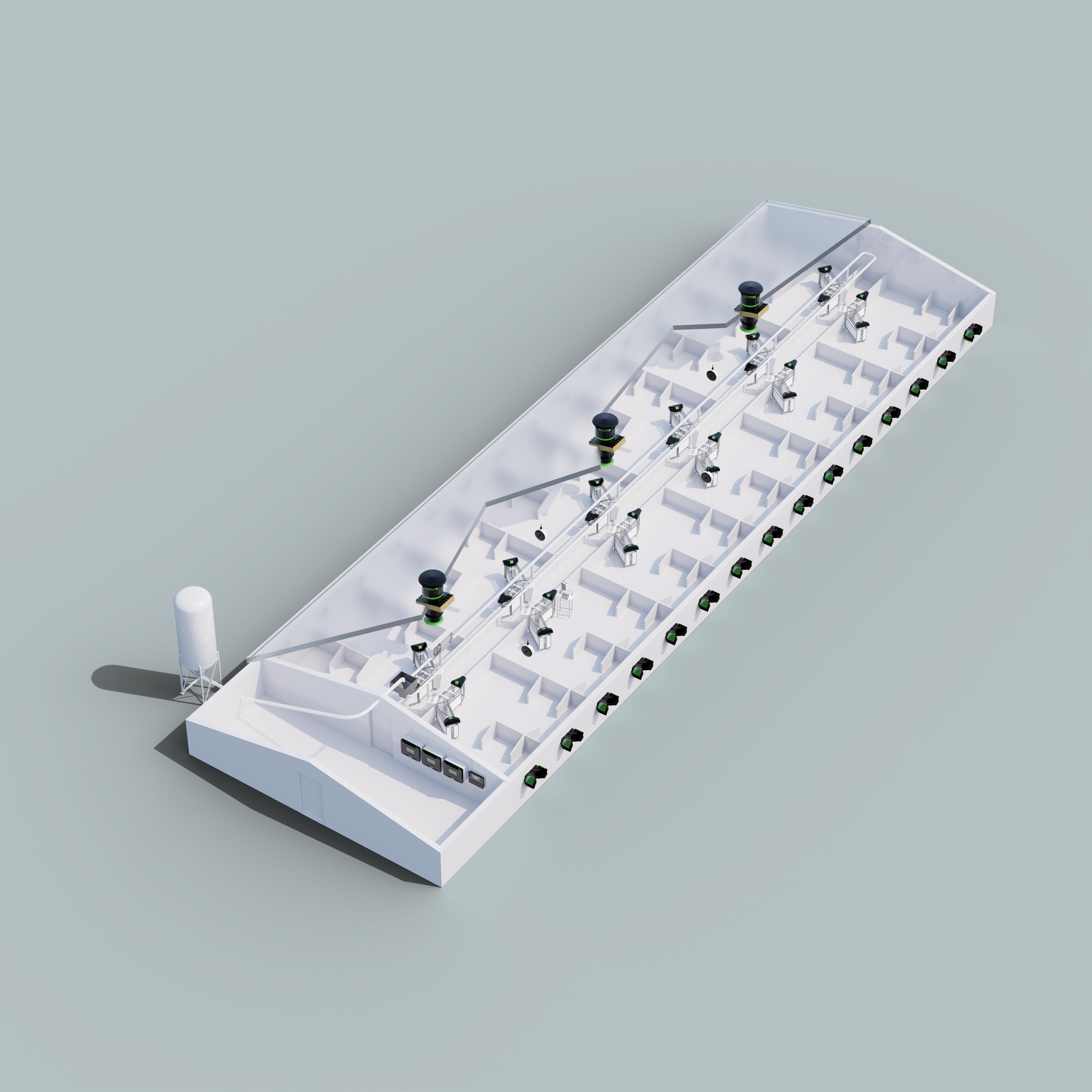 Cerdas gestantes en alojamiento en grupo