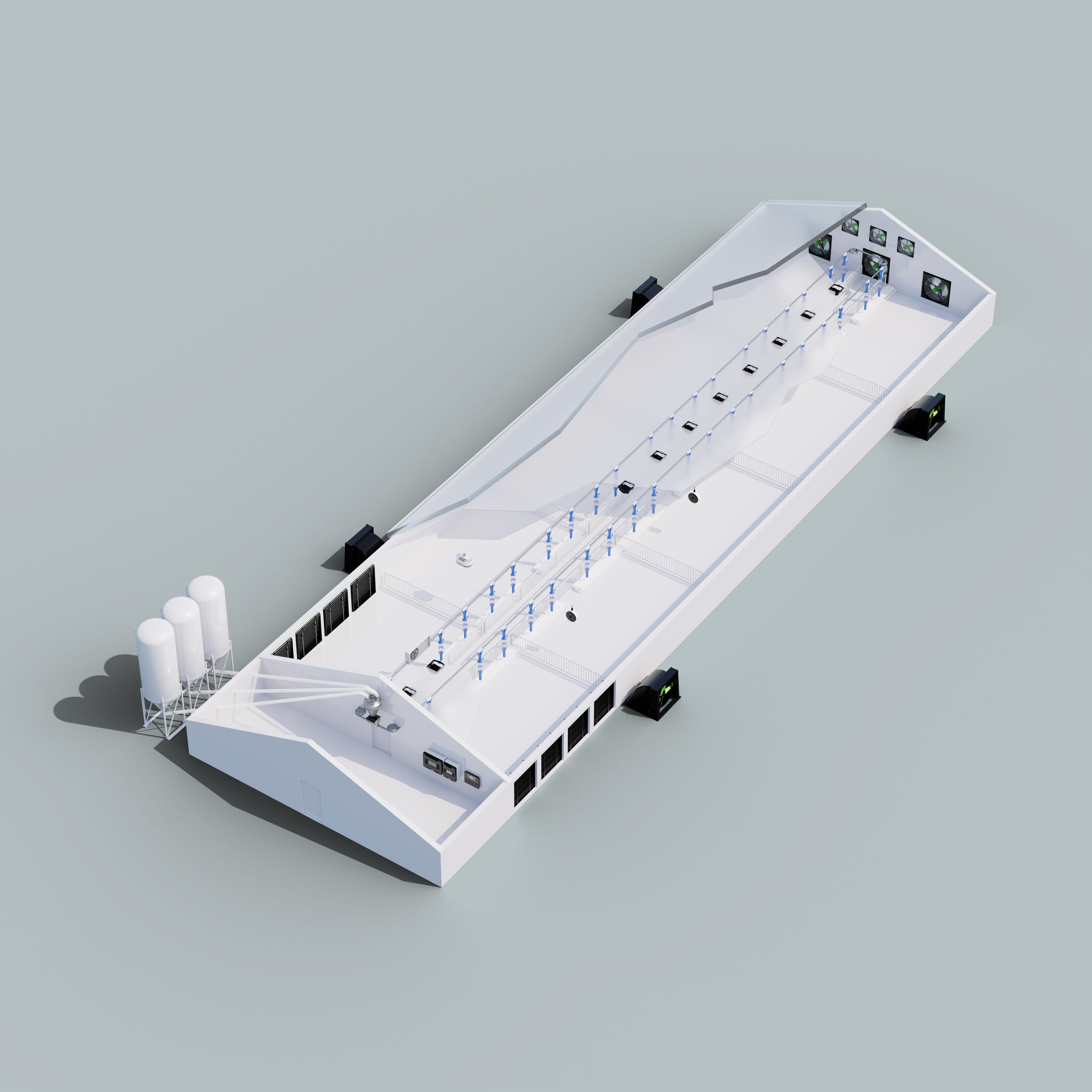 Cerdos de engorde en grandes secciones