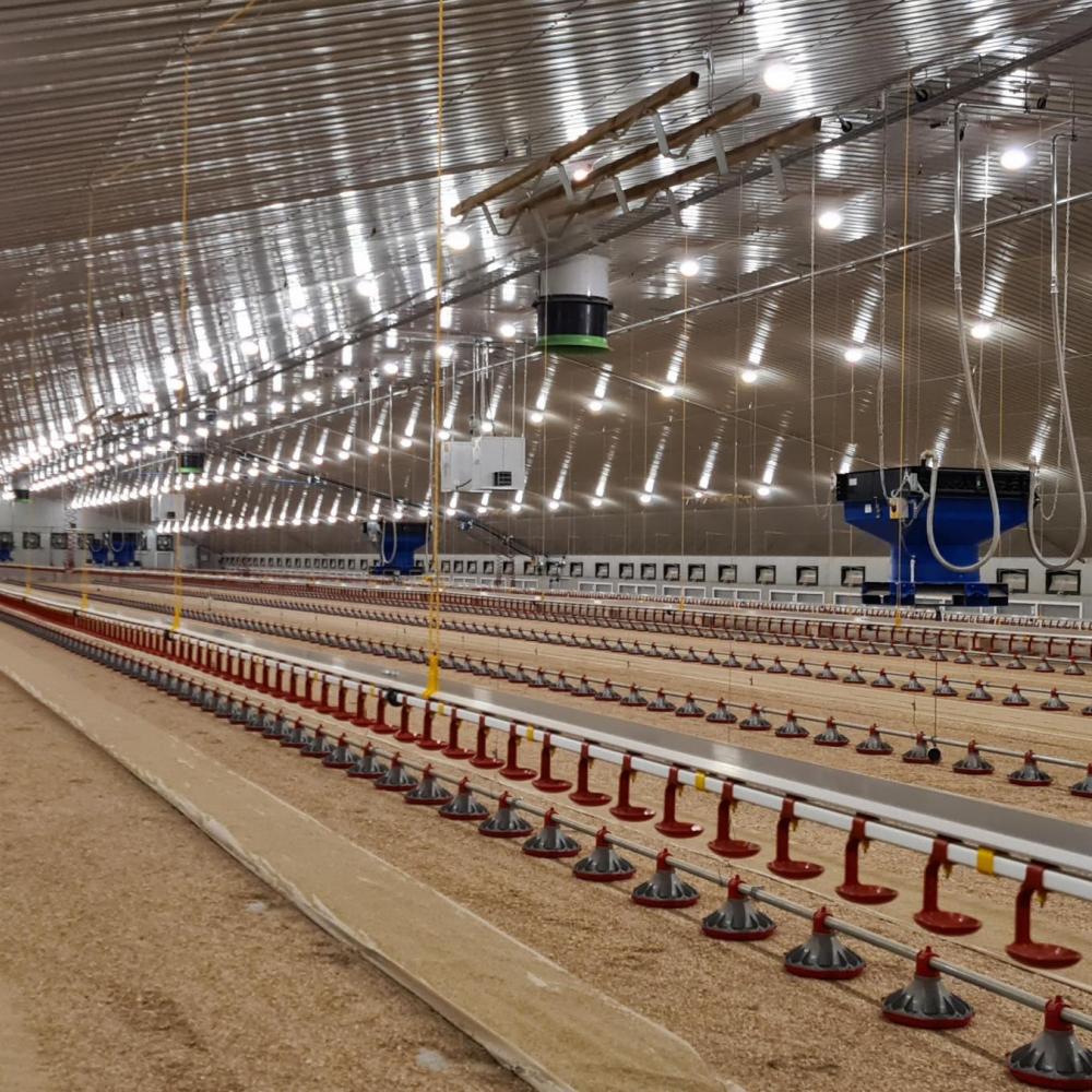 Mejor rendimiento animal con un control de iluminación flexible