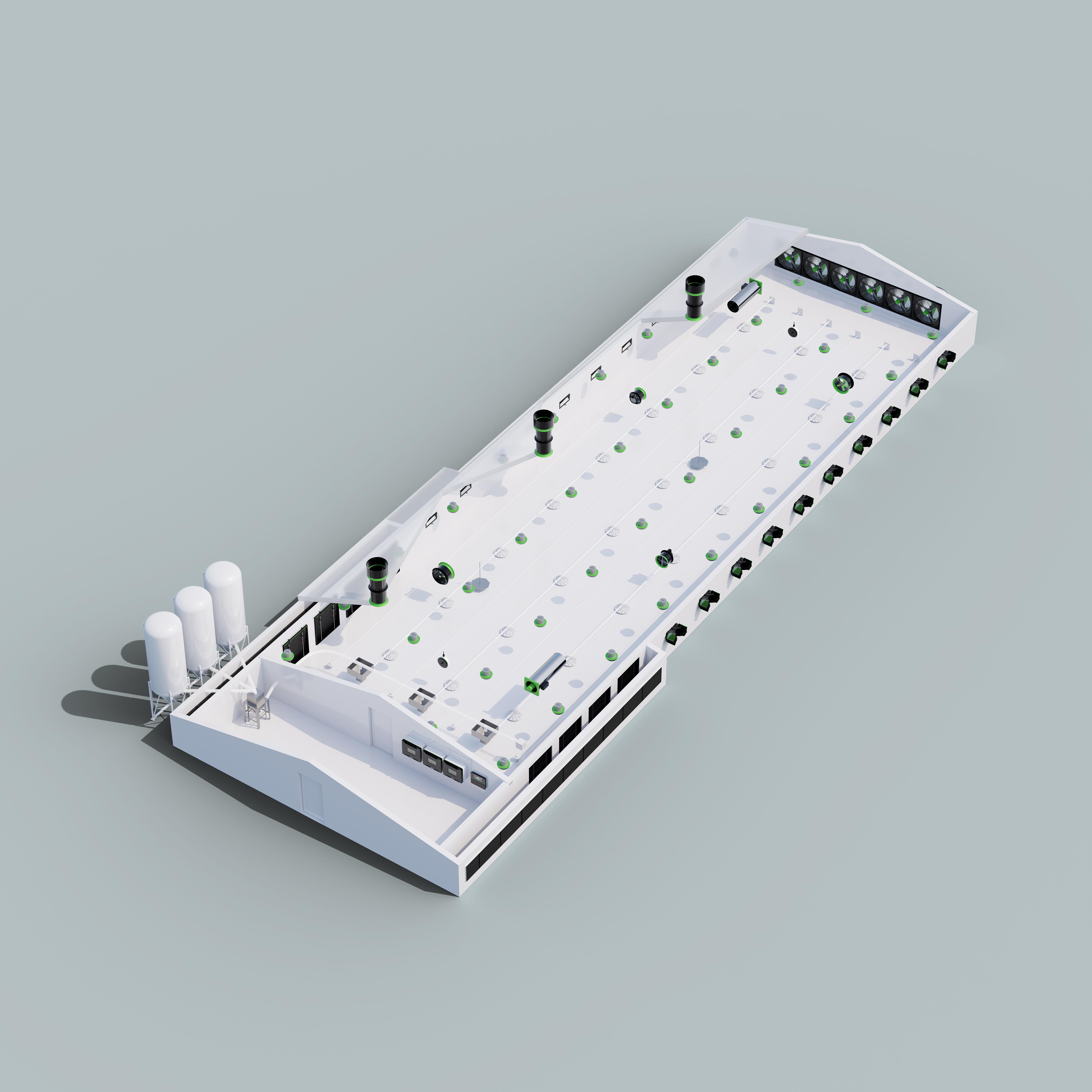 Pranja de pollos de engorde