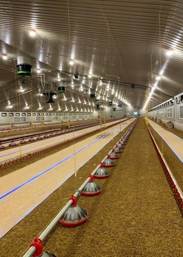 Luz diurna con iluminación agrícola