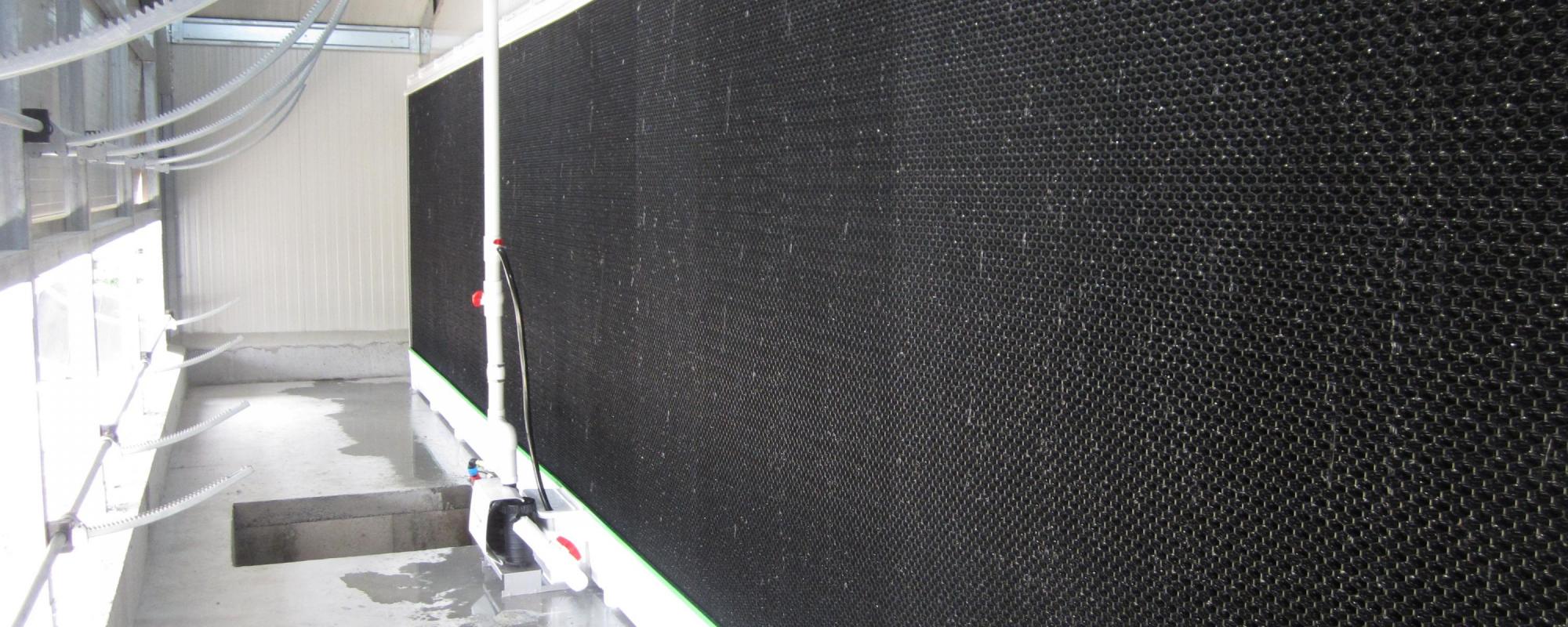 Una refrigeración eficiente mejora el rendimiento de los animales