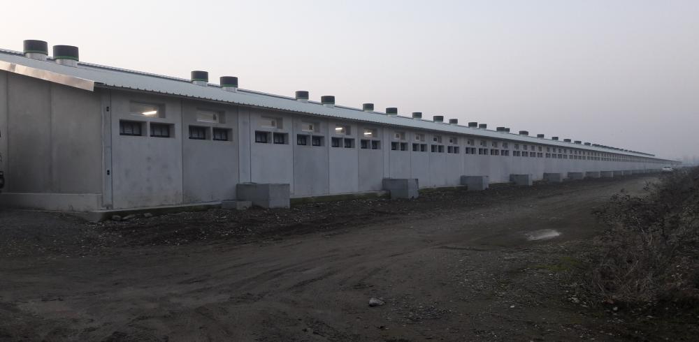 Villanuova Pig House 01