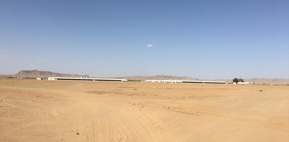 Stallen in warm klimaat